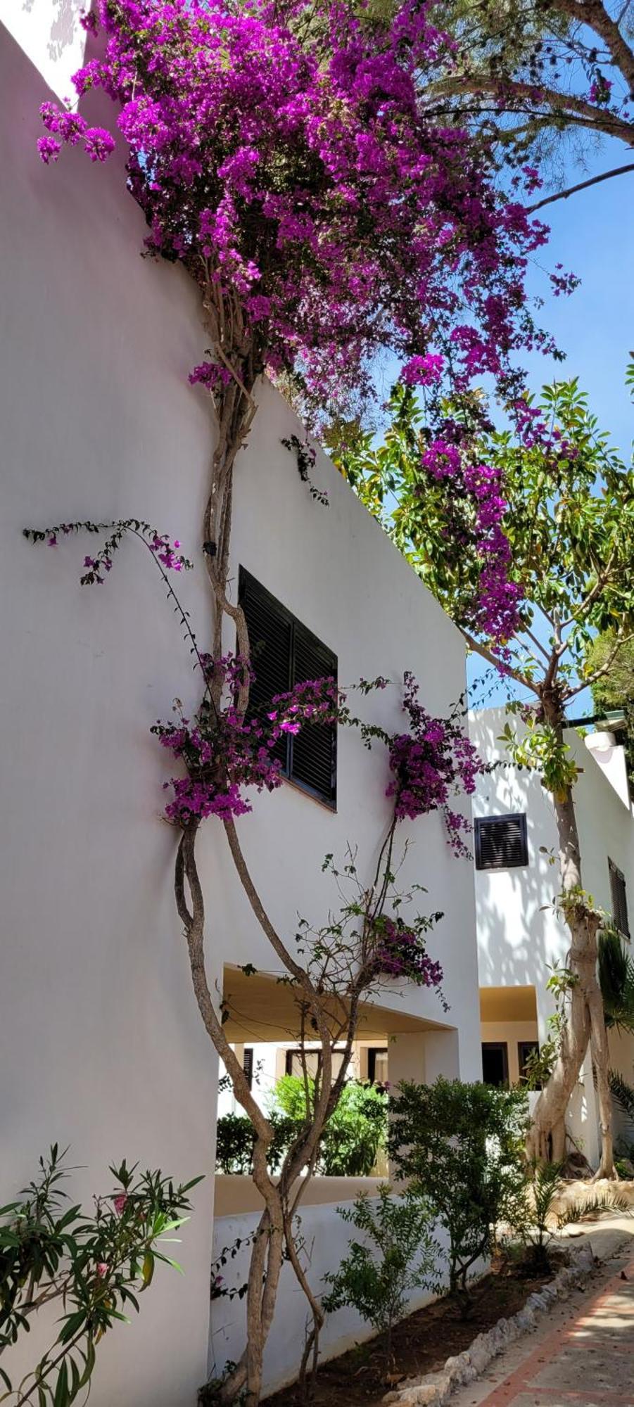 Hotel Club Cala Azul Cala Llenya Exterior foto